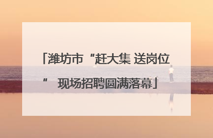 潍坊市“赶大集 送岗位” 现场招聘圆满落幕